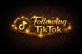 tiktok followers